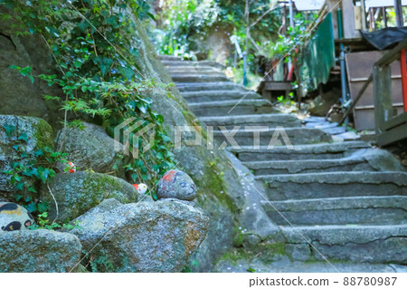 Cat's Path, Onomichi Sightseeing Spots 88780987