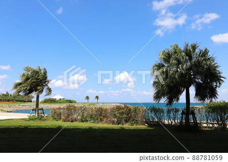 Okinawa Naha Umisora Park on the waves Okinawa Naha Umisora Park on the waves 88781059