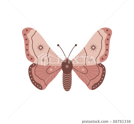 Boho butterfly. Insect with celestial elements. Witch and magic symbol. Abstract hand drawn moth. Vector illustration in bohemian style Boho butterfly. Insect with celestial elements. Witch and magic symbol. Abstract hand drawn moth. Vector illustration in bohemian style 88781336