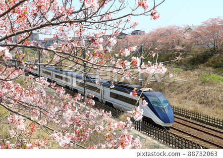 Keisei Electric Railway Narita Sky Access and Sakura in full bloom passing through the Hokuso Line near Shiroi City, Chiba Prefecture 88782063