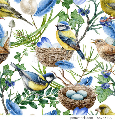 Birds in forest greens seamless pattern. Watercolor illustration. Realistic forest birds, nest feathers, green branches and wild herbs seamless pattern. Natural wildlife element 88783499