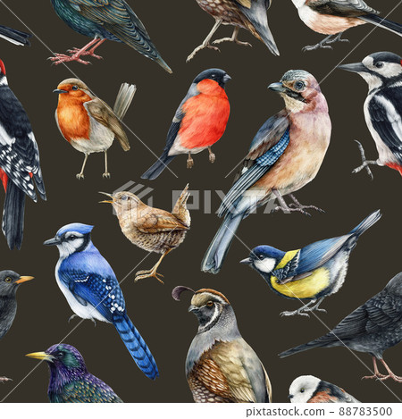 Forest bird seamless pattern. Watercolor illustration. Hand drawn wildlife realistic birds. Woodpecker, jay, robin, bullfinch, wren in seamless pattern element. Realistic birds on dark background 88783500