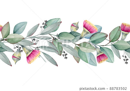 Eucalyptus leaf and flowers seamless border. Watercolor illustration. Hand drawn eucalyptus branches, flowers, leaves, buds seamless border. Realistic natural decorative element 88783502