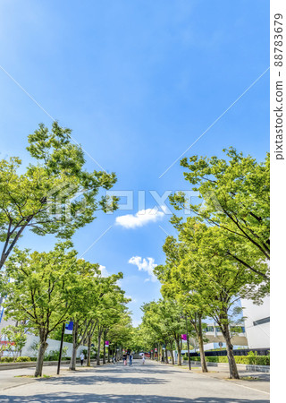 東京夏季代代木公園澀谷的城市景觀 88783679