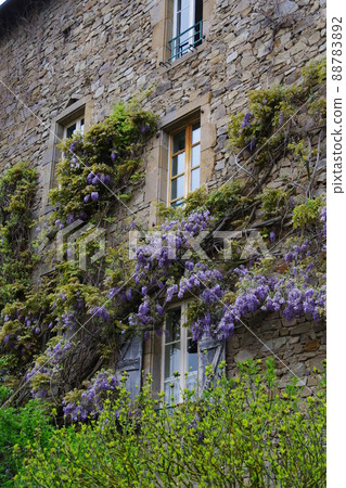 Medieval house with ivy Medieval house with ivy 88783892