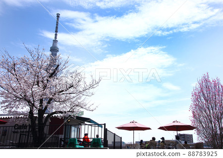 A wonderful coffee shop along the Sumida River where you can relax with cherry blossoms, Sky Tree and delicious coffee 88783925