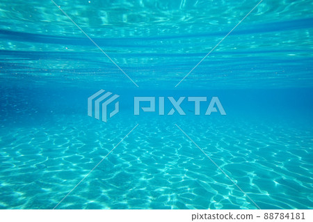 Underwater world Underwater world 88784181