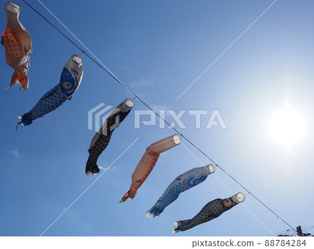 五顏六色的鯉魚旗在藍天中游弋 88784284