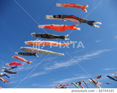 Colorful carp streamers swimming in the blue sky 88784285