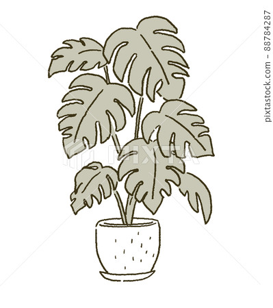 室內盆栽植物插圖 88784287