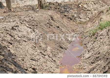 dry land on paddy filled and pool with less water in summer dry land on paddy filled and pool with less water in summer 88784349