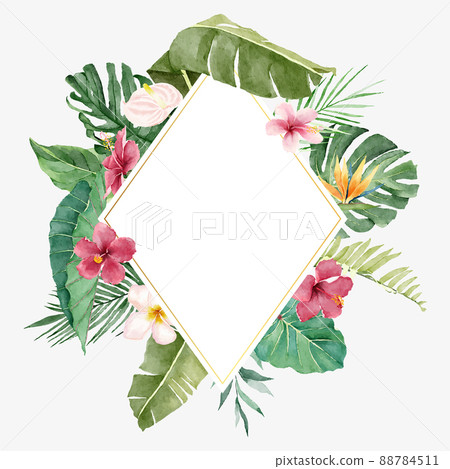 Bright Summer Illustration with Tropical Flowers and Leaves Bright Summer Illustration with Tropical Flowers and Leaves 88784511