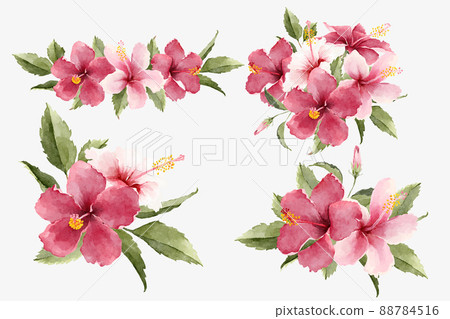Watercolor Tropical Hibiscus Flower Bouquets 88784516