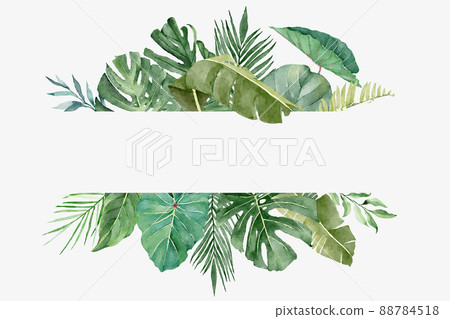 Watercolor Frame with Beautiful Tropical Exotic Leaves 88784518