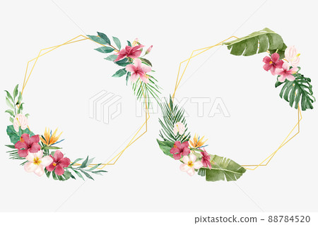 Tropical Flowers with Geometric Golden Frames 88784520