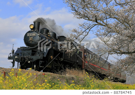 Spring Moka鐵路SL 88784745