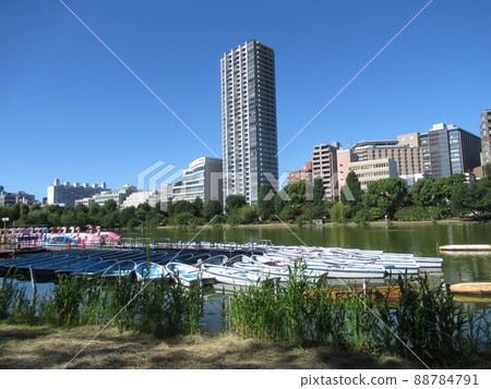 上野公園不忍池附近 88784791