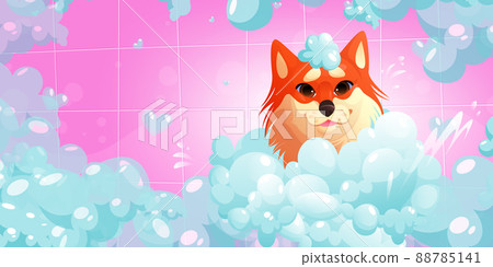 Dog washing procedure in spa or pets grooming Dog washing procedure in spa or pets grooming 88785141