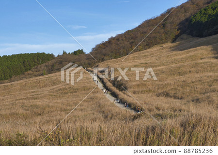 [神奈川縣]箱根仙石原薄野草甸 88785236