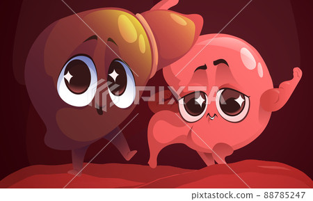 Cartoon healthy stomach and liver characters smile 88785247