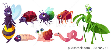 Cute cartoon insects characters snail, bee or bugs 88785262