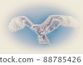 A hawk 88785426