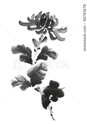 盛開的菊花水墨畫插圖 88785676