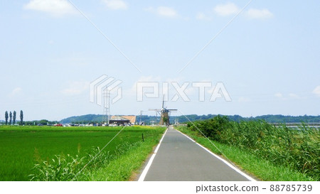 夏天在千葉的印波沼自行車道上騎自行車是一種清爽。 夏天在千葉的印波沼自行車道上騎自行車是一種清爽。 88785739