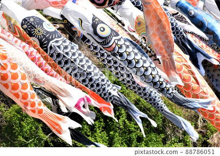 黃昏的節日 88786051