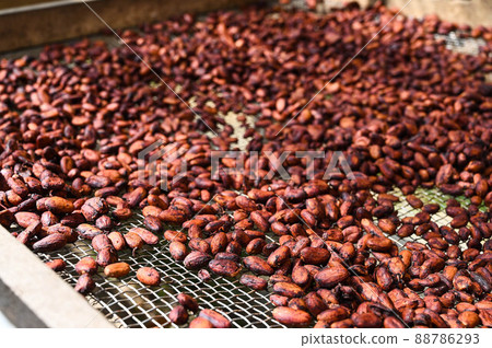 Cocoa beans, cocoa beans Cocoa beans, cocoa beans 88786293