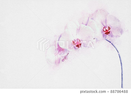 Pink floral background with orchid flowers, copy space 88786488