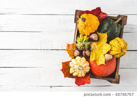 Colourful pumpkins and maple leaves in box on white wooden background with copyspace. Autumn concept Colourful pumpkins and maple leaves in box on white wooden background with copyspace. Autumn concept 88786767