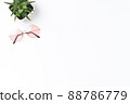 Fashion background with pink sunglasses and succulent 88786779
