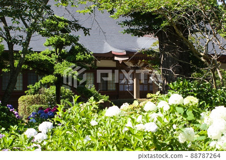 寺本堂和繡球觀音寺，滑方市 88787264