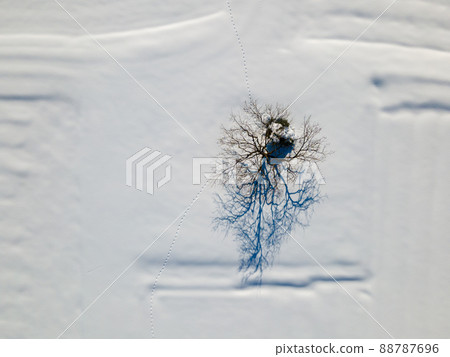 Footsteps of the fox on the snowfield 88787696