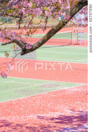 Oji Park Sakura and tennis court 88787890
