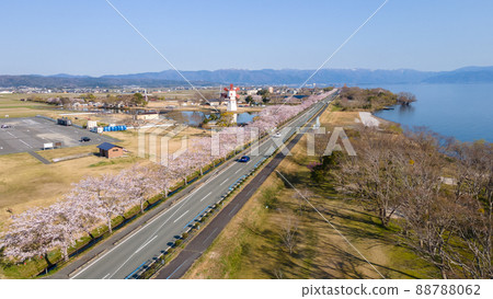 Fusha Kaido, Lake Biwa and rows of cherry blossom trees in Shinasahi-cho, Takashima City, Shiga Prefecture 88788062