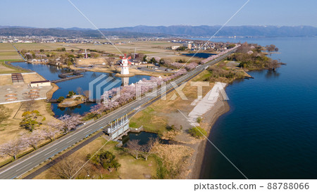 Fusha Kaido, Lake Biwa and rows of cherry blossom trees in Shinasahi-cho, Takashima City, Shiga Prefecture Fusha Kaido, Lake Biwa and rows of cherry blossom trees in Shinasahi-cho, Takashima City, Shiga Prefecture 88788066
