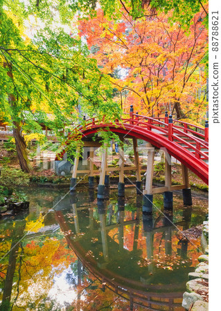 Imakoyasan,Ryukaji Temple 紅葉(廣島縣世羅區世羅町)慢快門 Imakoyasan,Ryukaji Temple 紅葉(廣島縣世羅區世羅町)慢快門 88788621