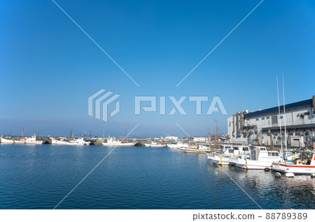 South wind night fishing port famous for landing of tiger puffer South wind night fishing port famous for landing of tiger puffer 88789389