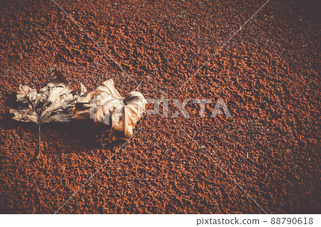 Autumn of brown dry leaf on rustic red soil ground background Autumn of brown dry leaf on rustic red soil ground background 88790618
