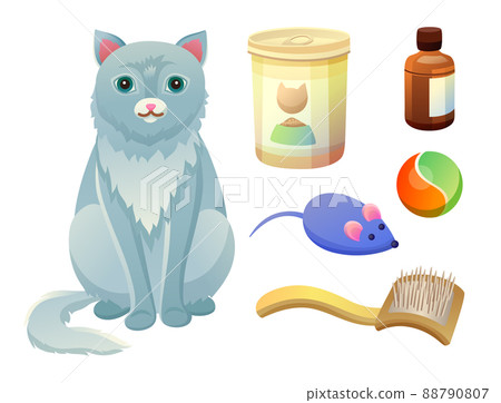 Set for Taking Care about Feline. Food for Cat Set for Taking Care about Feline. Food for Cat 88790807