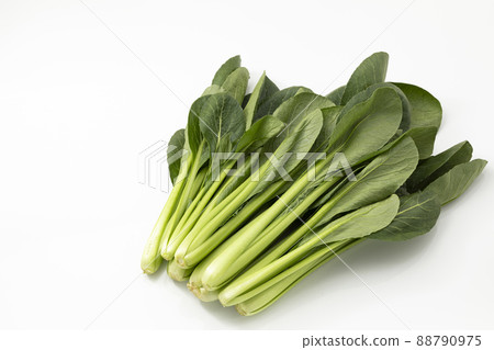 Japanese mustard spinach on a white background 88790975