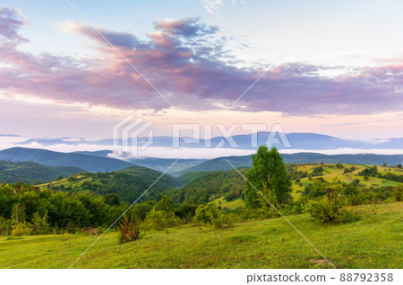 countryside landscape at dawn. grassy meadows, rural fields and forested slopes on hills rolling off in to the distant valley full of fog. warm summer weather with clouds on the sky glowing in morning countryside landscape at dawn. grassy meadows, rural fields and forested slopes on hills rolling off in to the distant valley full of fog. warm summer weather with clouds on the sky glowing in morning 88792358