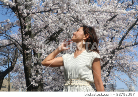 小櫻和女 88792397