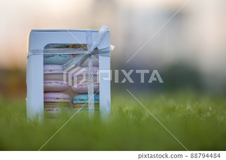 Cardboard gift box with colorful pink blue handmade macaron cookies on green grass blurred background. Cardboard gift box with colorful pink blue handmade macaron cookies on green grass blurred background. 88794484