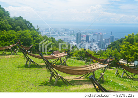 《神戶市》山中植物園布引藥草園/ 88795222
