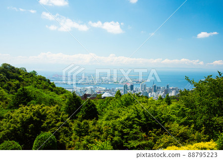 《神戶市》山中植物園布引藥草園/ 88795223
