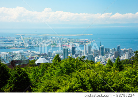 《神戶市》山中植物園布引藥草園/ 88795224