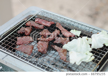 Charcoal-grilled meat | BBQ Charcoal-grilled meat | BBQ 88795235